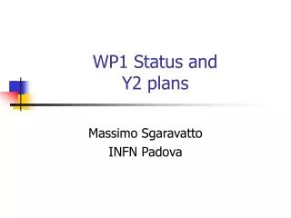 WP1 Status and Y2 plans