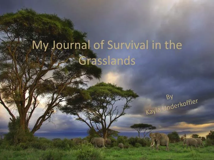 my journal of survival in the grasslands