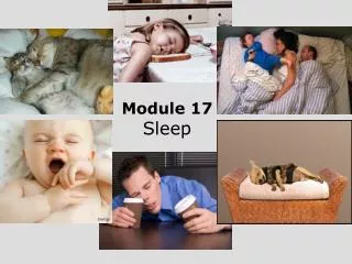 Module 17 Sleep