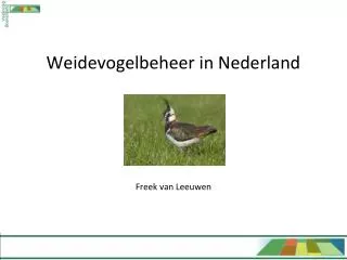 weidevogelbeheer in nederland