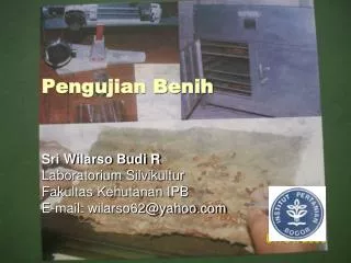 pengujian benih