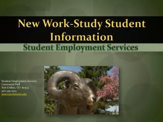 New Work-Study Student Information