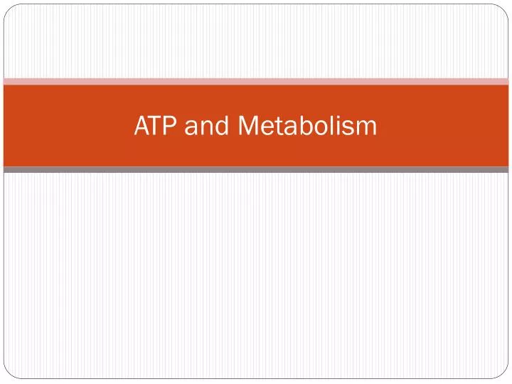 atp and metabolism