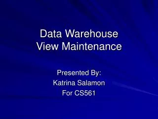 Data Warehouse View Maintenance
