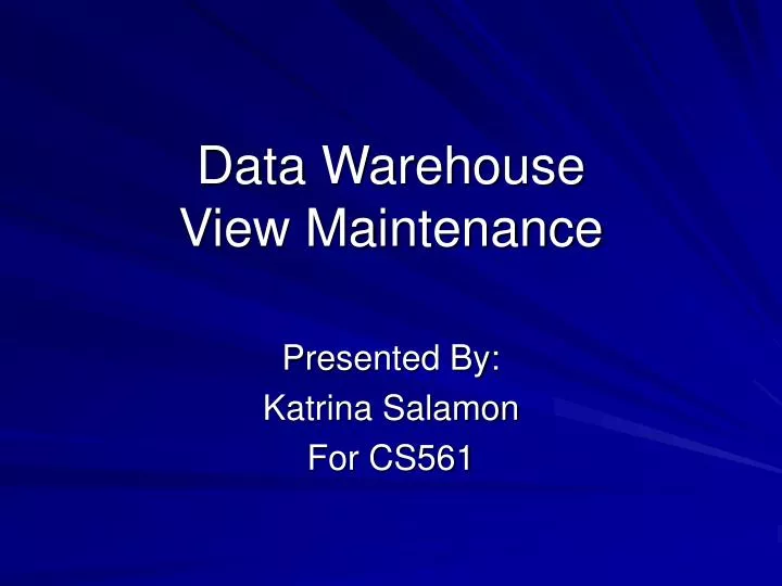 data warehouse view maintenance
