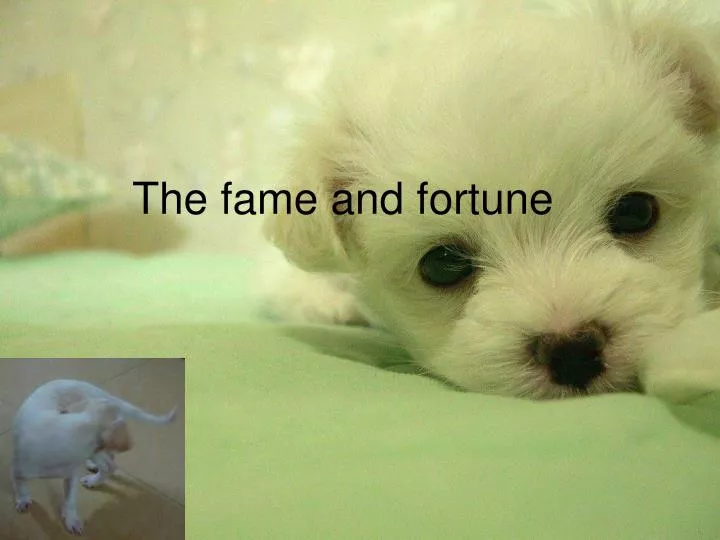 the fame and fortune