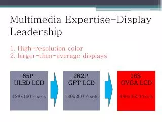 Multimedia Expertise-Display Leadership