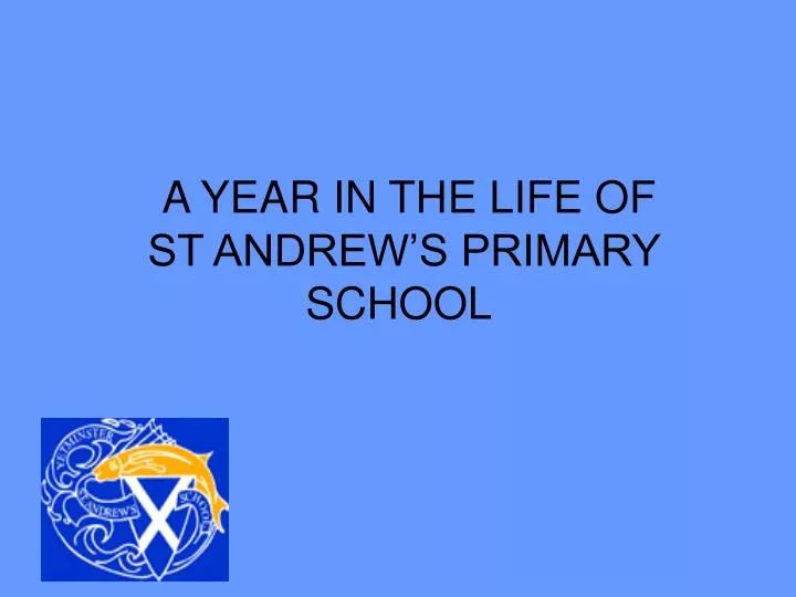 a year in the life of st andrew s primary school
