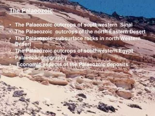 The Palaeozoic The Palaeozoic outcrops of southwestern Sinai