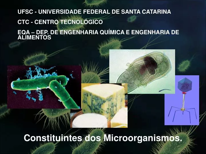 constituintes dos microorganismos
