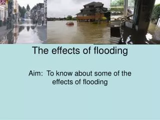 The effects of flooding