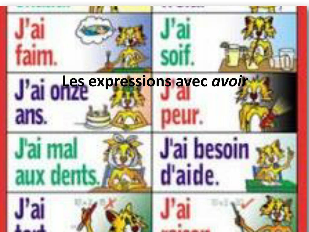 PPT - Les expressions avec avoir PowerPoint Presentation, free download ...
