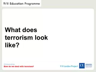 What does terrorism look like?