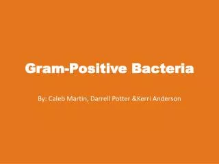 Gram-Positive Bacteria