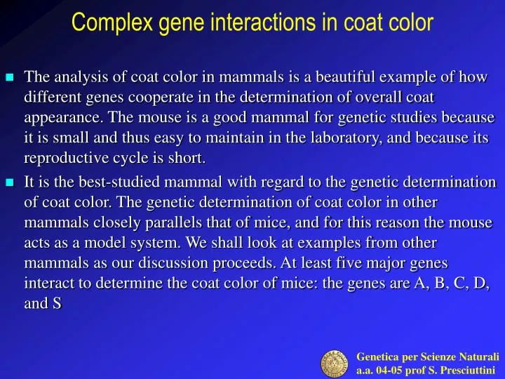 complex gene interactions in coat color