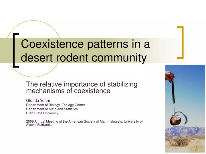 coexistence patterns in a desert rodent community