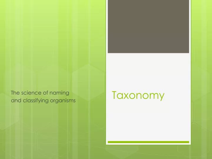 taxonomy