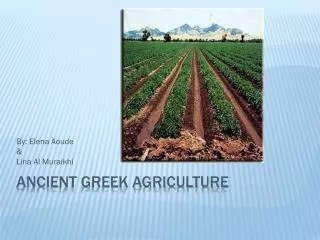 Ancient Greek Agriculture