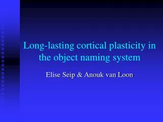 Long-lasting cortical plasticity in the object naming system