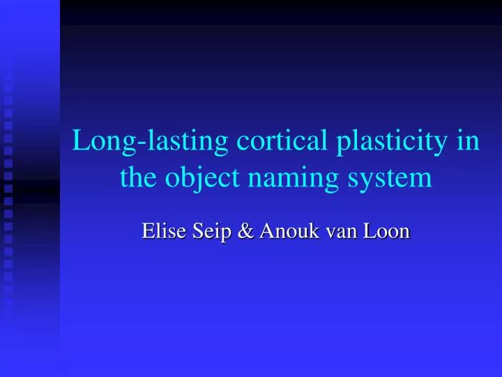 long lasting cortical plasticity in the object naming system