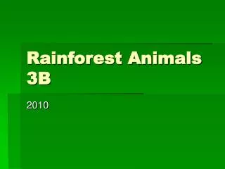 Rainforest Animals 3B