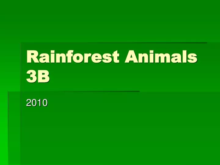 rainforest animals 3b