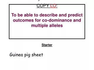 Starter Guinea pig sheet