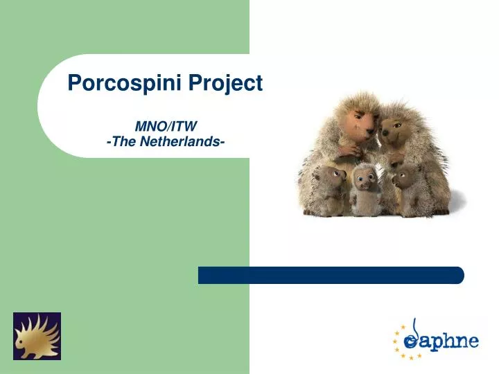 porcospini project mno itw the netherlands