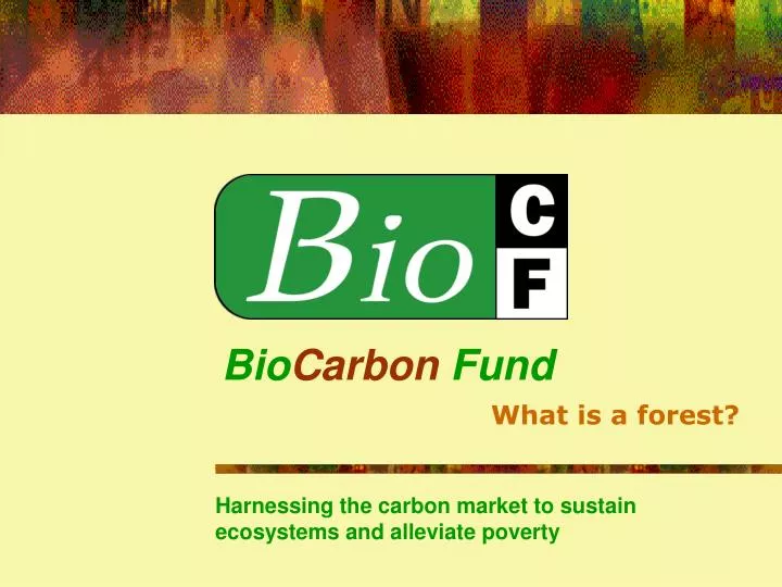 bio carbon fund