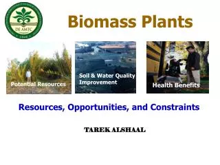 Biomass Plants