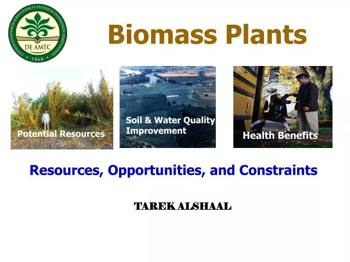 biomass plants