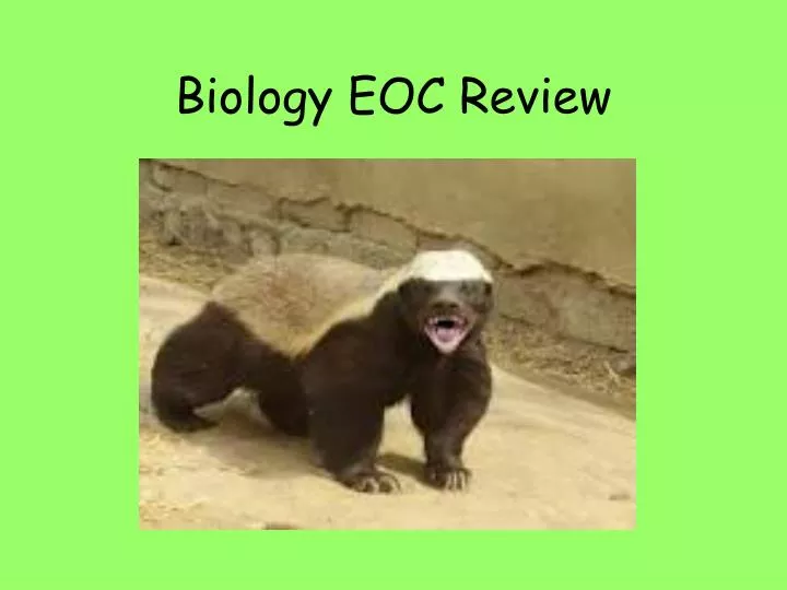 biology eoc review