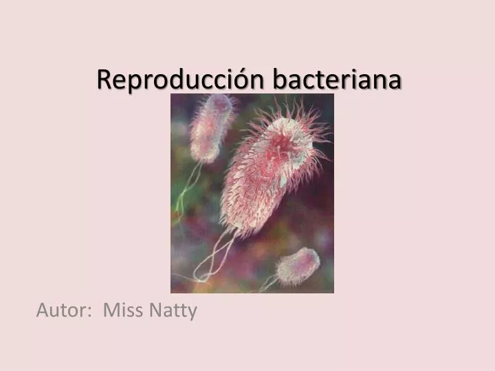 reproducci n bacteriana