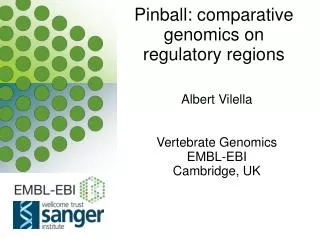 Pinball: comparative genomics on regulatory regions