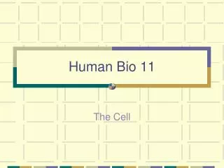 Human Bio 11