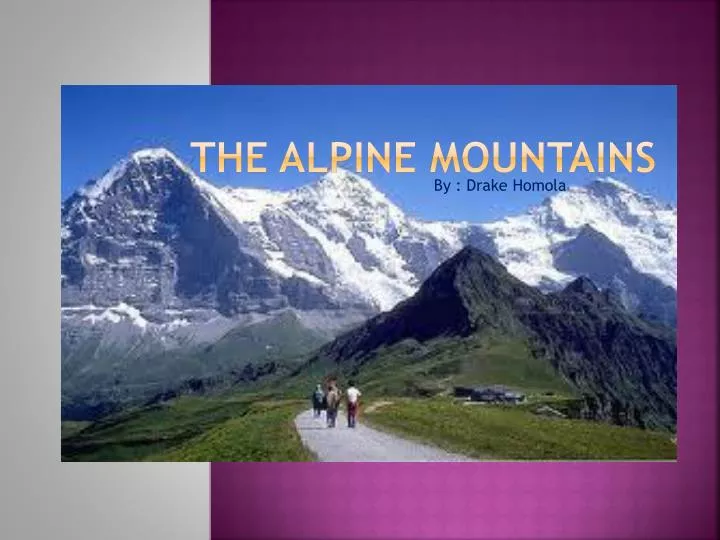 the alpine mountains