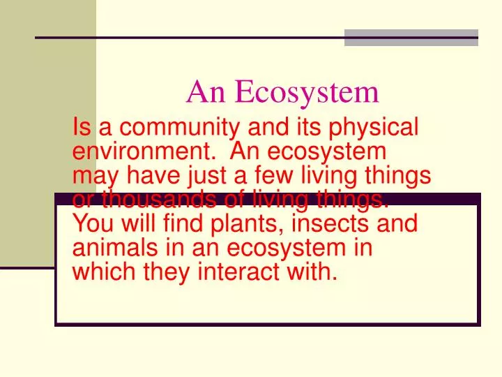 an ecosystem