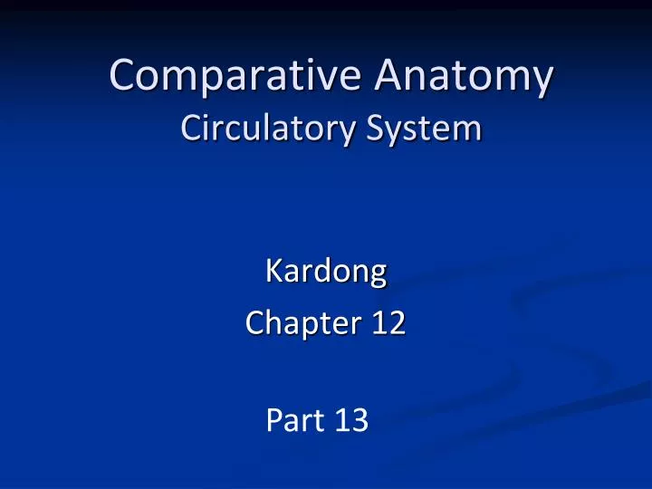 comparative anatomy circulatory system