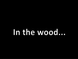 In the wood ...