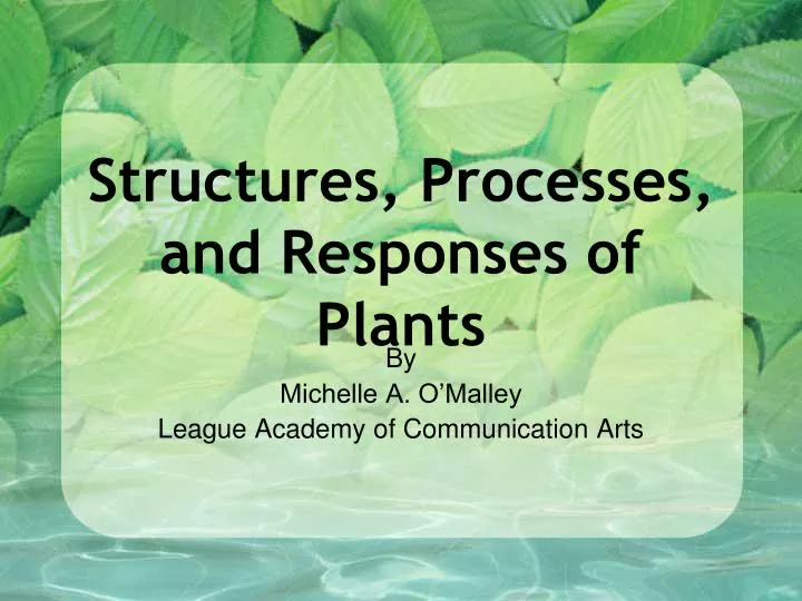 structures processes and responses of plants