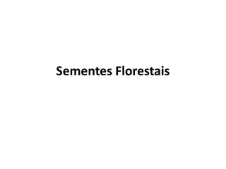 sementes florestais