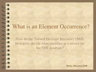 What is an Element Occurrence?