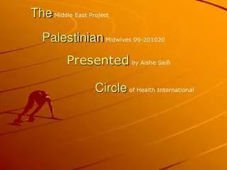 The Middle East Project