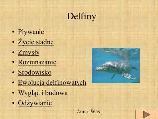 delfiny