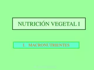 nutrici n vegetal i