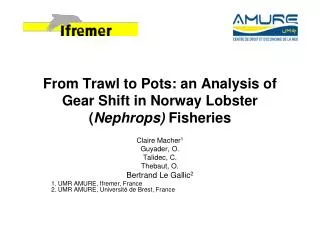 From Trawl to Pots: an Analysis of Gear Shift in Norway Lobster ( Nephrops) Fisheries