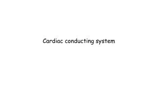 Cardiac conducting system