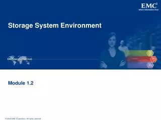 storage system environment