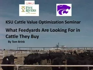 KSU Cattle Value Optimization Seminar What Feedyards Are Looking For in Cattle They Buy