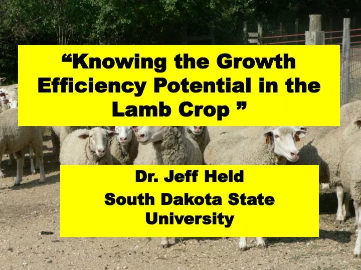 knowing the growth efficiency potential in the lamb crop